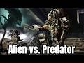 حقائق وتحديثات عن فيلم Alien Vs Predator 2004 فيلم رعب أكشن باللغة الإنجليزية بجودة عالية 