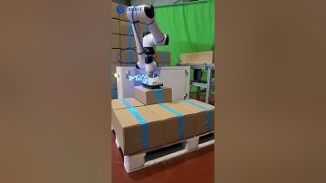 📦 Discover Your Palletizing Solution!