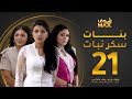 مسلسل بنات سكر نبات الحلقة 21 زينة كرم مريم حسين أمل العوضي 