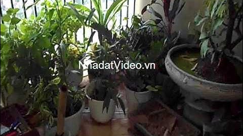 Chính chủ cần bán căn hộ chung cư tòa CT5C, khu đô thị Văn Khê, Hà Đông, Hà Nội