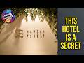 Namsan Forest Guesthouse - This Hotel Is a Secret | Seoul, South Korea⭐