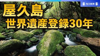 人とシカ、サルが共存する悠久の島　登録30年迎えた世界遺産は今