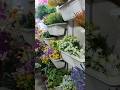 Why is the artificial flowers market growing | Artificial Flowers Online #trending #shorts #short