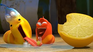 LARVA - SOUR FRUITS | Cartoon Movie | Videos For Kids | Larva Cartoon | LARVA Official