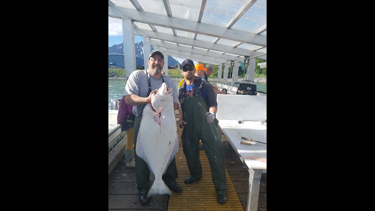 20 Halibut Seward Alaska YouTube