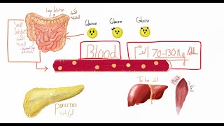 شرح مرض السكري(  Diabetes Mellitus  ) مقدمة تعريفية بالمرض وأنواعه