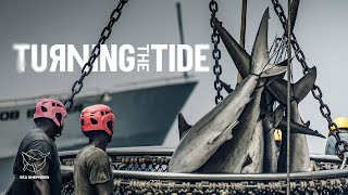 Download Lagu HET TIJ KEREN MP3