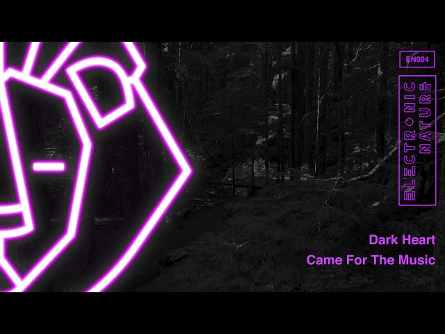 Dark Heart - Came For The Music