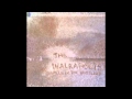 The Walkabouts - Every River Will Burn