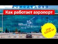 Как сейчас работает аэропорт Домодедово. Авиация восстанавливается