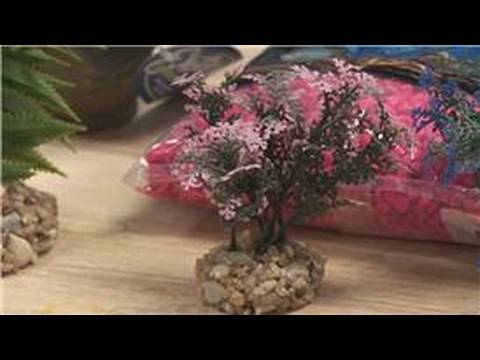 Pet Fish : How to Buy Fish Aquarium Supplies - YouTube