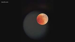PHOTOS: 'Super Flower Blood Moon' total lunar eclipse seen in Texas PHOTOS: 'Super Flower Blood Moon' total lunar eclipse seen in Texas