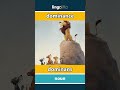 🇬🇧🇩🇰 dominance - dominans : learn English : Lad os lære engelsk : vocabulary builder