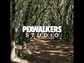 Pixwalkers studio  captations ariennes