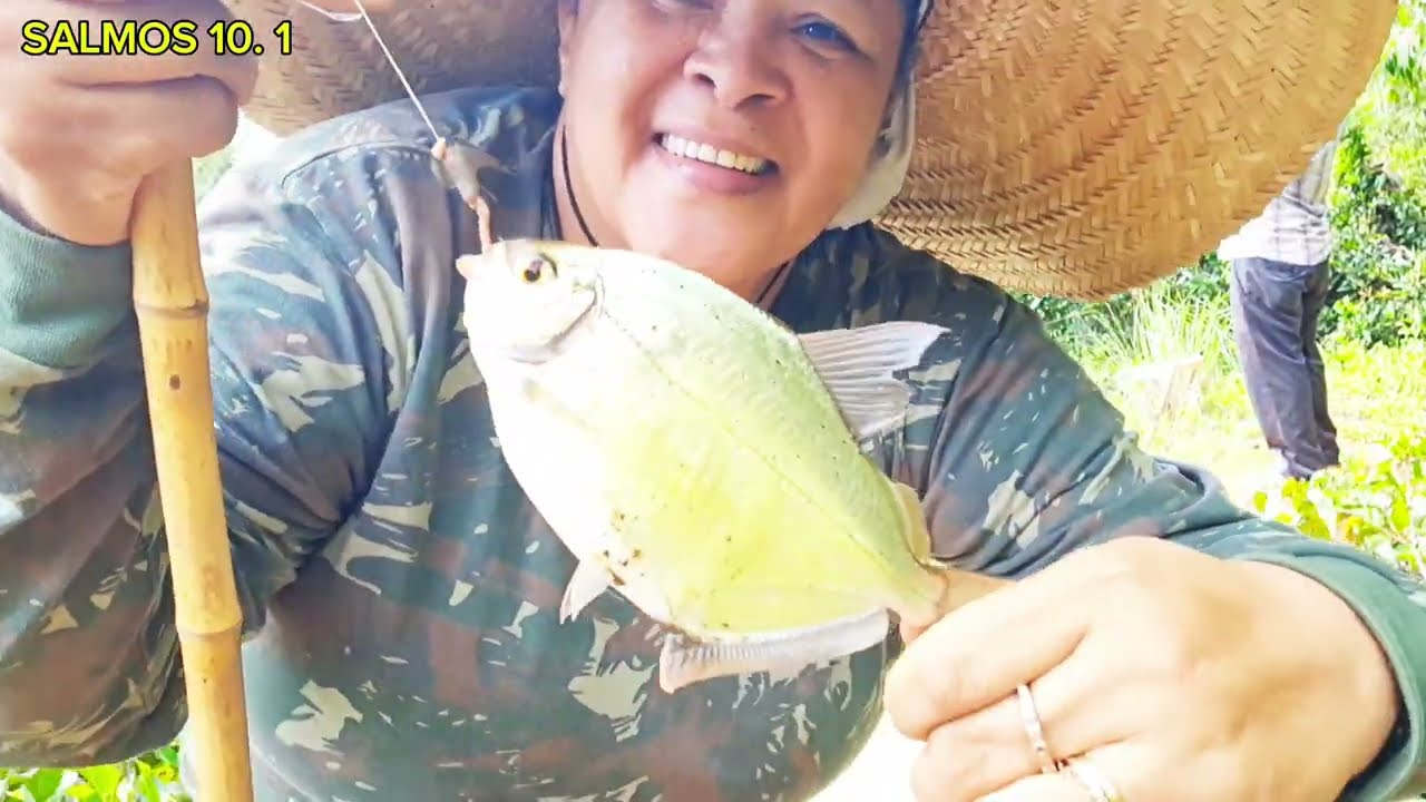 🐟🔥😱*RECORD DE PACU! 🚨Dia de pescaria de pacu #PescariaDePacu #PescaRaiz #PeixeFresco #DiaDePescaria*