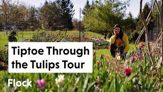 We Planted 4,000 TULIPS. See Them BLOOM — Ep. 305