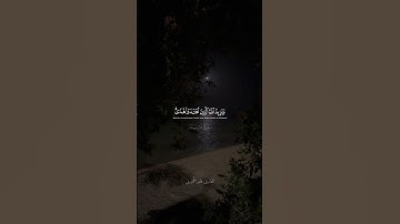 سورة مريم الآية 76 | وَیَزِیدُ ٱللَّهُ ٱلَّذِینَ ٱهۡتَدَوۡا۟ هُدࣰىۗ | القارئ فايز الحميري