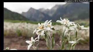 Edelweiss screenshot 5