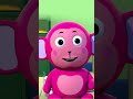 Babies Favorite Rhymes - Johny Johny Yes Papa #shorts #nurseryrhymes #hooplakidztv