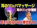 【寝る前のストレッチ】騙されたと思ってやってみて!