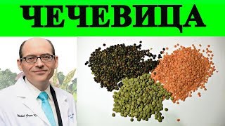 Какая Чечевица Самая Полезная? - Доктор Майкл Грегер Какая Чечевица Самая Полезная? - Доктор Майкл Грегер