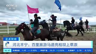 [正点财经]河北丰宁：百里旅游马道亮相坝上草原| 财经风云