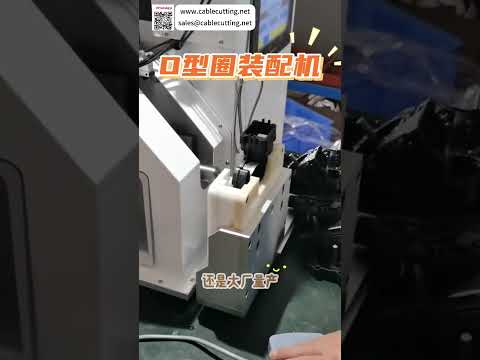 High Quality O Ring Assembly Machine Custom Automated Sealing Ring Manufacturing Machinery - Shorts