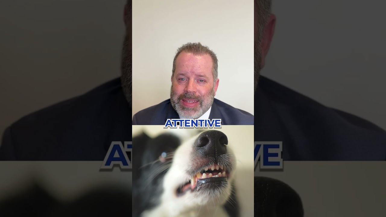 Dog Bite Injury Victims