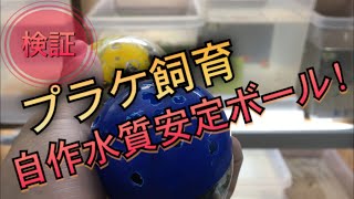 検証！プラケ飼育の水質安定ボール (グッピー)