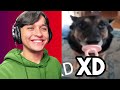 SI HAY UN MEME BUENO SE ACABA EL VIDEO