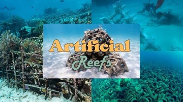 The fascinating world of artificial reefs. #our oceans, #mimic natural coral reefs