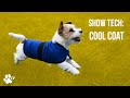 Show Tech: Cool Coat | TRANSGROOM