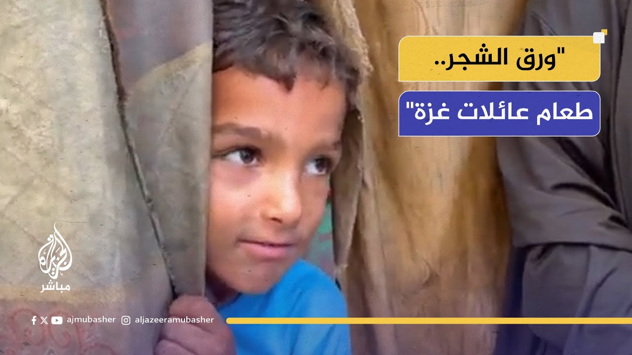 آخر ما تجده عائلات غزة.. لا طعام سوى ورق الأشجار