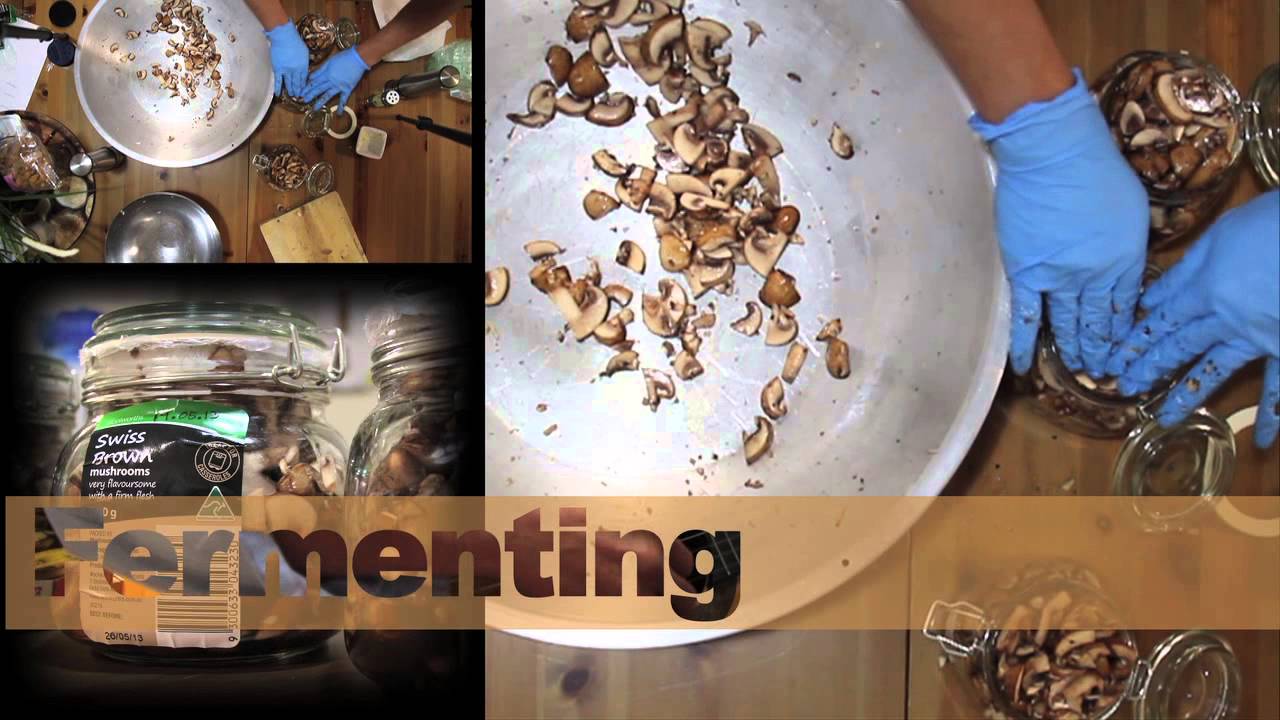 Mushrooms Fermenting