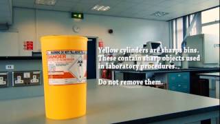 Cleaning Staff, Lab Health and Safety