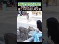 😊外国人観光客も大喜び‼🦌 世界がほっこり‼平和でやさしい世界 外国人観光客が奈良のシカちゃんに癒されて奈良公園を満喫‼#奈良#東大寺#鹿#外国人観光客#海外の反応#ZIPANG紀行 #shorts