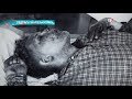 Следопыты параллельного мира
