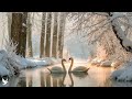 Beautiful Winter Music 2026 Relaxing Melodies For Anxiety Relief And Emotional Healing 