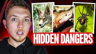 St. Louis Most Dangerous Predators No One Warns You About (2025)