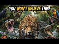 Amazon Rainforest Secrets: Deadliest Animals You Won’t Believe Exist! 🌿🐍