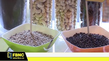 Hồ tiêu chuẩn bị tham gia sàn giao dịch hàng hóa Việt Nam | FBNC