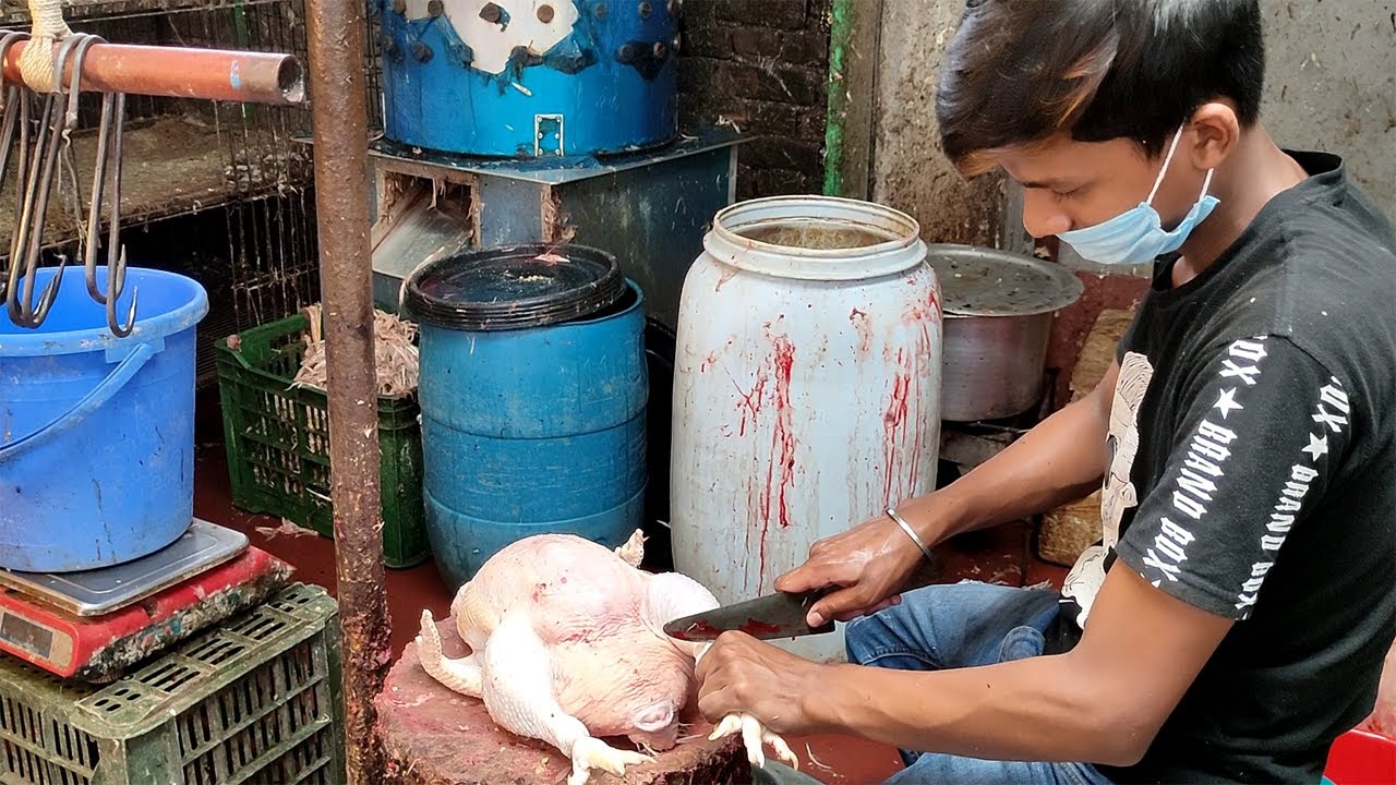 Hard Working Small Boy Cutting Big Chicken || Amazing Cutting Style || Cutting Skills