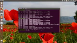 How to switch mode Huawei USB modem using configuration file on Linux or Ubuntu