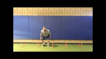 Hurdle Jump - Rotational - Single Response with Bounce