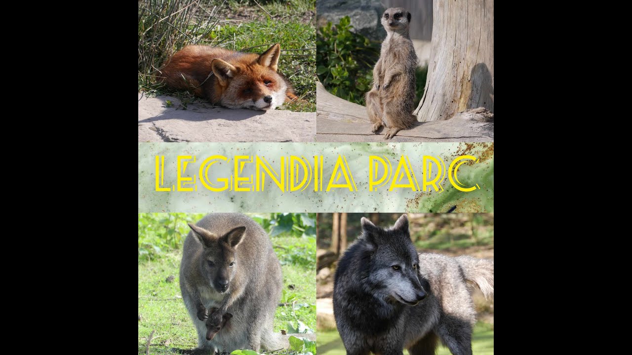 Legendia Parc (44320) 🐺🦊🦝