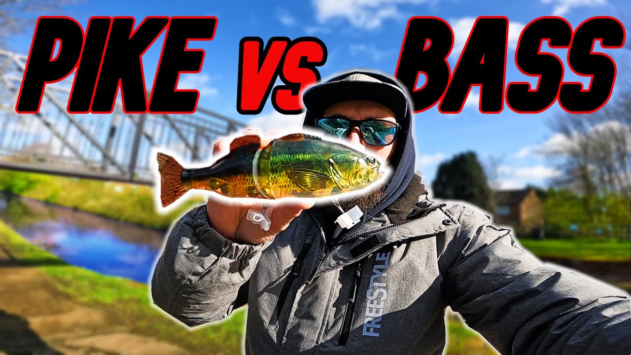 Pike Fishing With BASS Lure (Fishing Challenge)