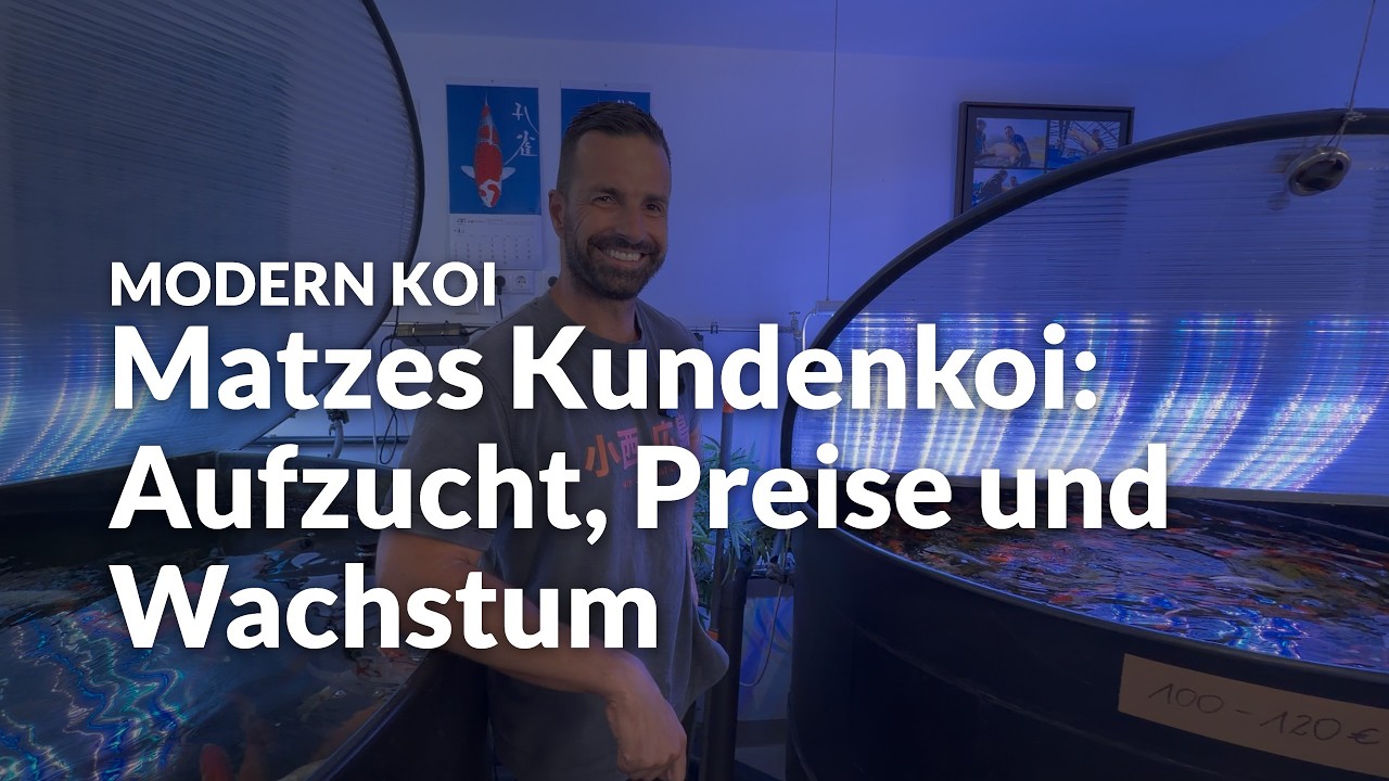 Matzes Koi-Aufzucht bei Koi Zossen | Modern Koi Blog #8229