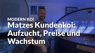 Matzes Koi-Aufzucht bei Koi Zossen | Modern Koi Blog #8229