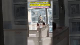    short shortsfeed shorts