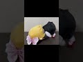 やられたのかー！？